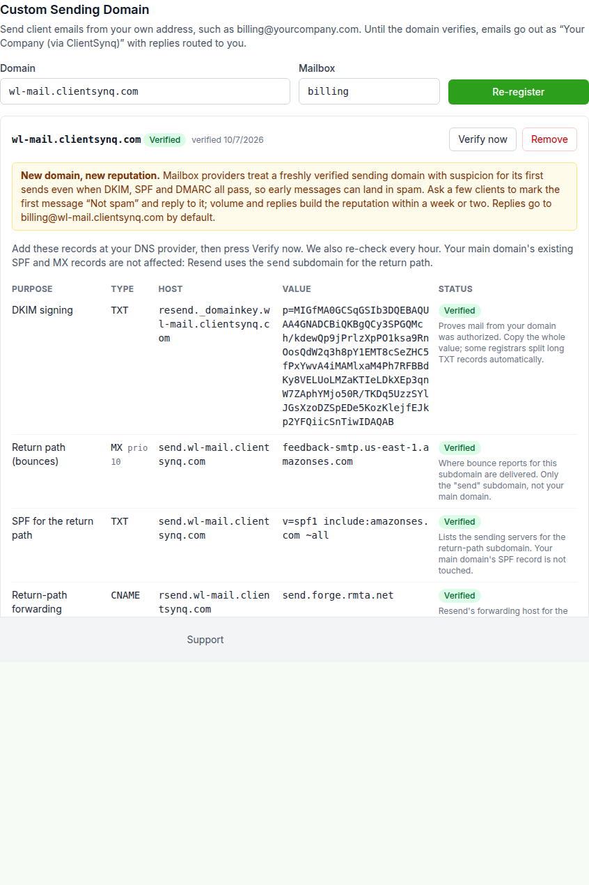 Brand Settings → Custom Sending Domain card with the DNS records table